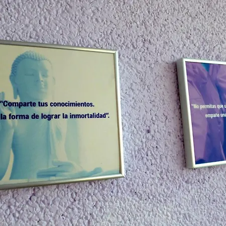 Apartamento Senso